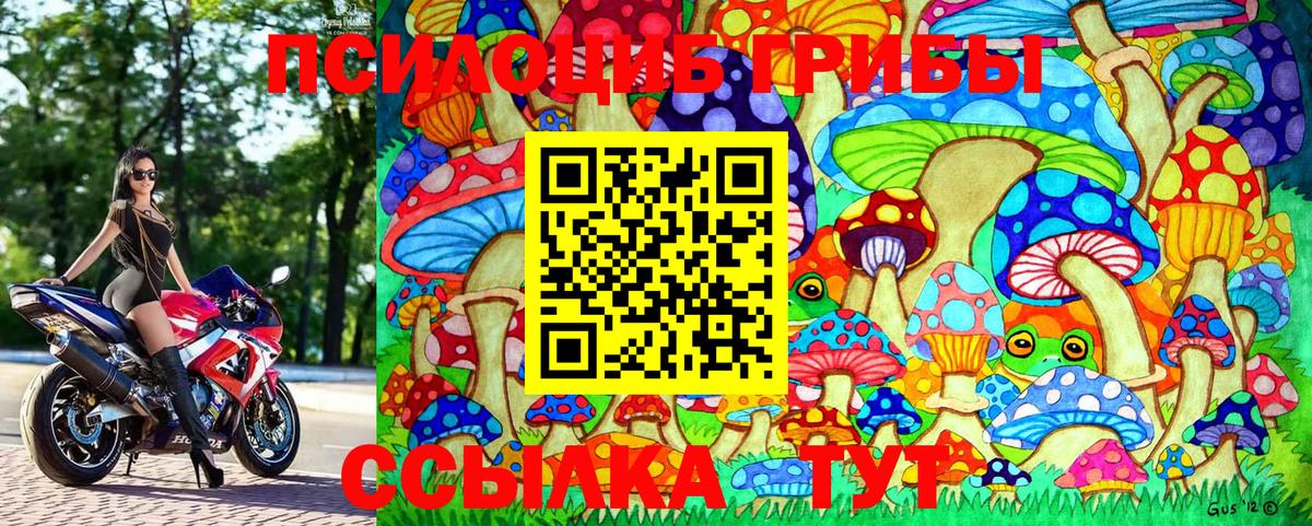 Галлюциногенные грибы GOLDEN TEACHER Серпухов